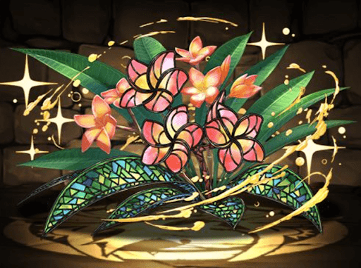 プルメリアの星光華