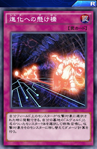 進化への懸け橋