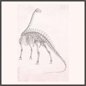 ブロントサウルスの骨格標本