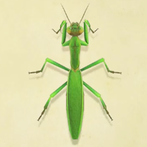 カマキリの値段と捕まえるコツ