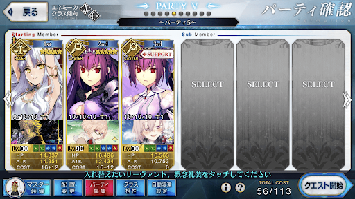 fgo-カレンシステム編成(Wスカディ)