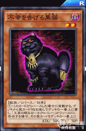 不幸を告げる黒猫
