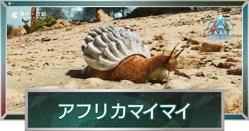 アフリカマイマイ