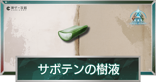 サボテンの樹液_アイキャッチ