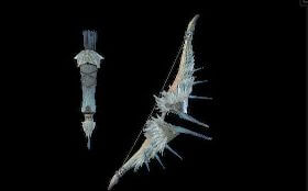 飛雷弓【羽々矢】改