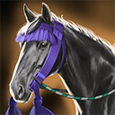 天下への道_放生月毛