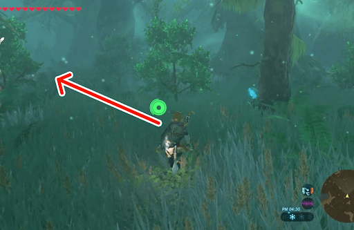 ゼルダBotW_トッチーより先回りして進む14