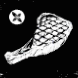 羊肉(タイム風味)