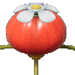 ポンガシグサ科