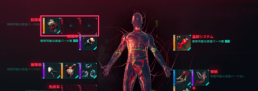 サイバーウェア_前頭葉