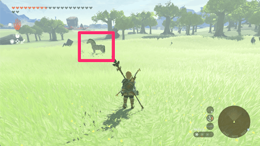 テンテンは監視砦の南にいる