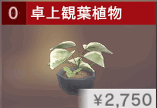 卓上観葉植物
