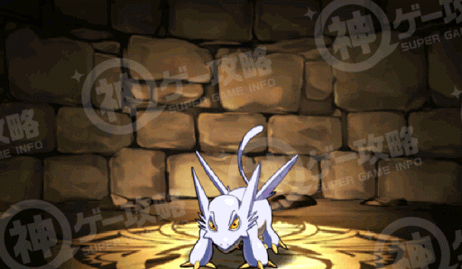 ホワイトコドラ