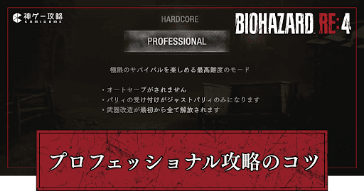 プロフェッショナル攻略