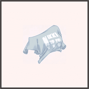 ショート丈Tシャツ（青）