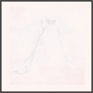 白羽のショール