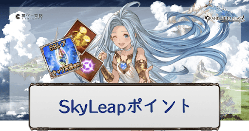SkyLeapポイントショップ