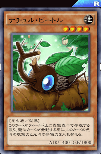 ナチュル・ビートル