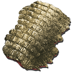 サルコスクスの皮