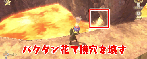 ゼルダSWS_空洞の手前の横穴にバクダン花をぶつけよう