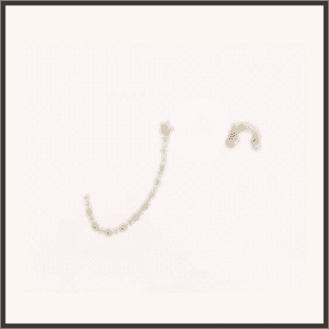 北極星の片眼鏡