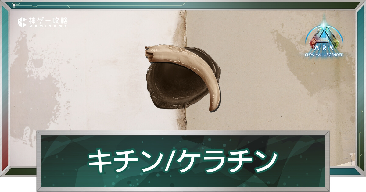 キチン/ケラチン