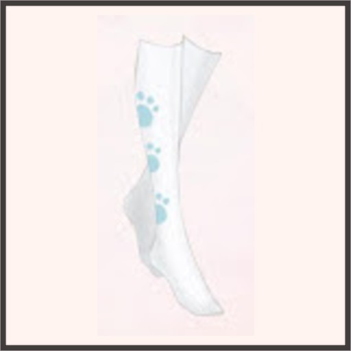 テディの足あと（青）