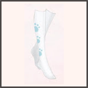 テディの足あと（青）