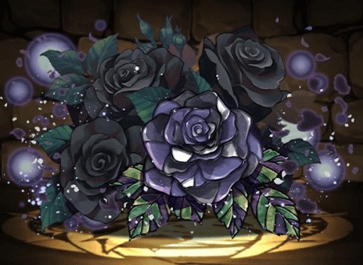 黒薔薇の邪影華