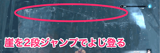 SEKIRO_数珠玉_落ち谷「社下の谷」2