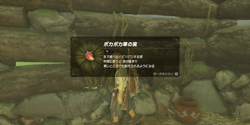 BotW_ポカポカの実