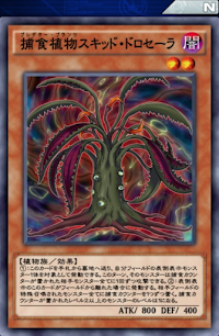 捕食植物スキッド・ドロセーラ