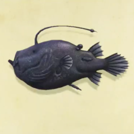 チョウチンアンコウの値段と捕まえるコツ