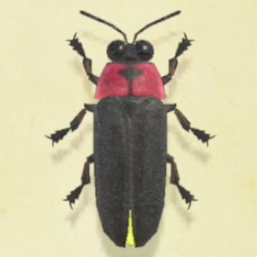 ホタルの値段と捕まえるコツ