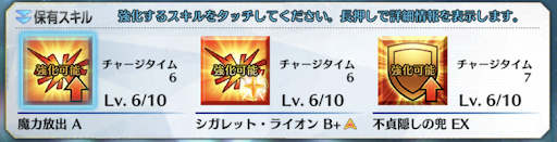 fgo-オールLv.6