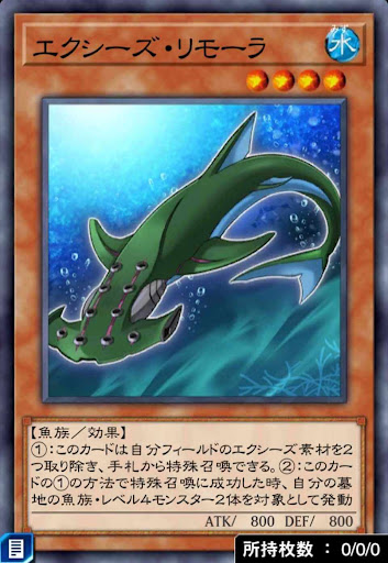 エクシーズ・リモーラ