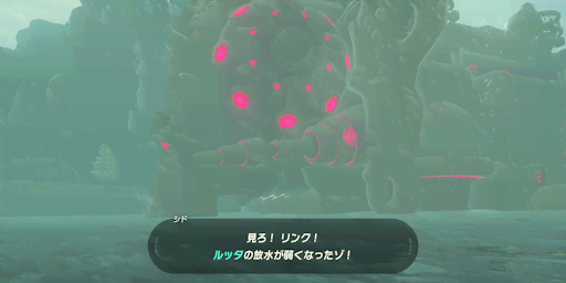BotW_4つ全てに矢を当てて中へ