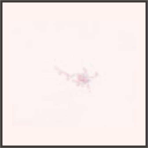 想いの凝縮（夢）