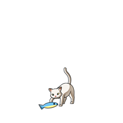 ミルキーショート・猫