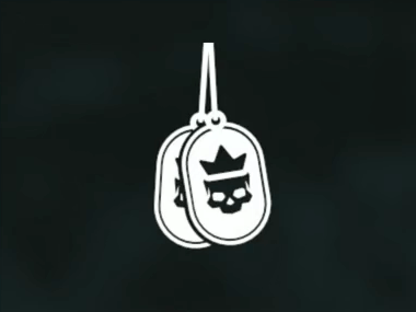 プレイヤーカードアイコン/エリートレイダー