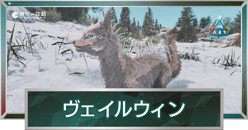 ヴェイルウィン