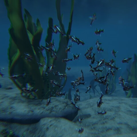 パラキートの魚群