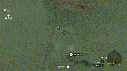 監視塔の鳥望台からハイラル城方面に飛ぶ