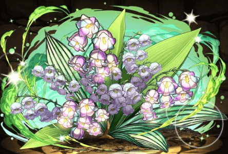 スズランの星光華