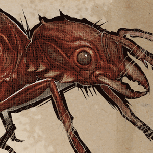 ティタノミルマドローン