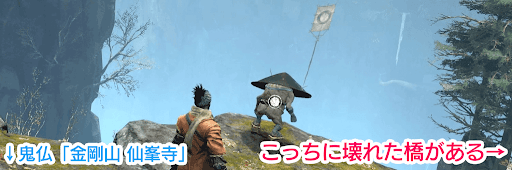 金剛山のムジナ