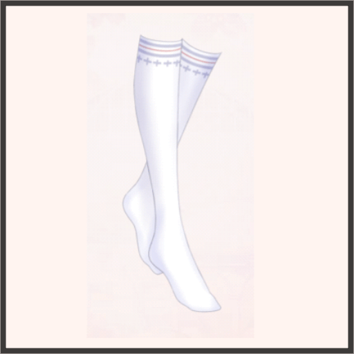 グレーラインニーソックス