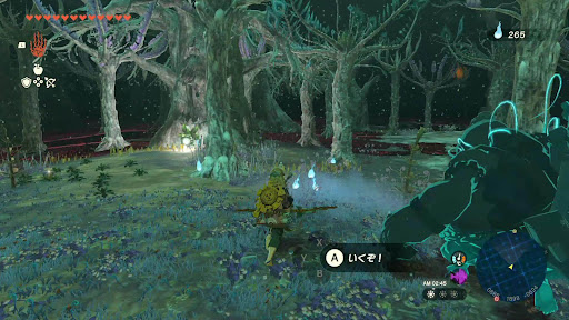 迷いの森_⑥瘴気エリア